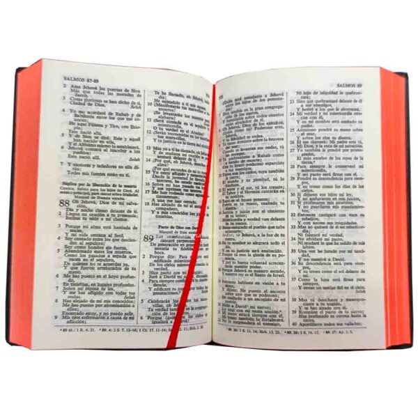 biblia-rvr042c-negro-corea