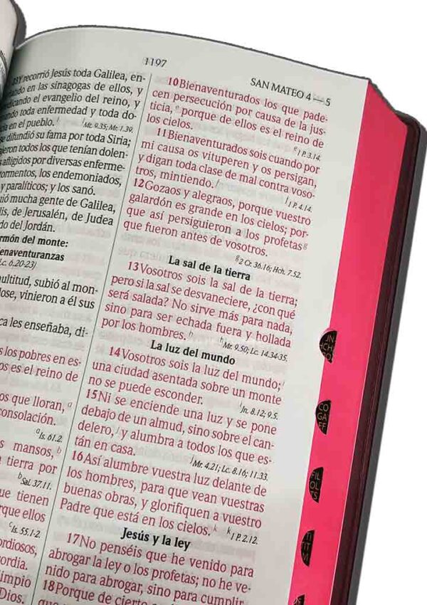 Biblia RVR1960 RVR052CLG PJRTi FR Letra Grande Negro