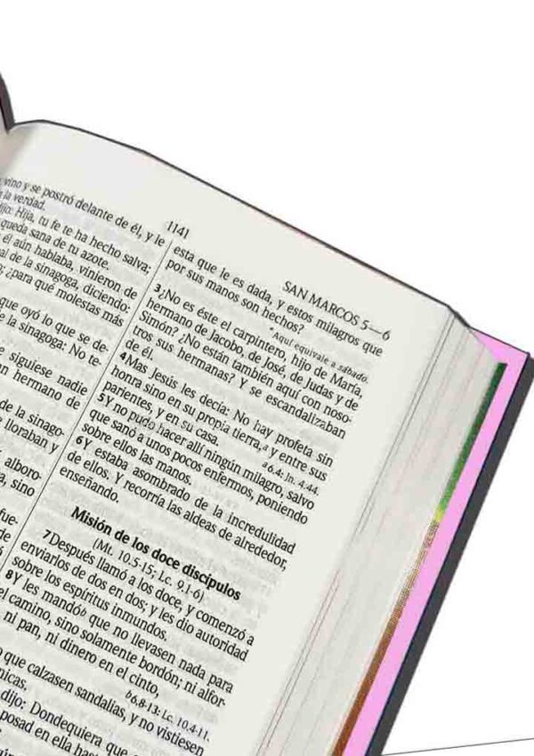Biblia Amigos por Siempre RVR023 Ilust Rosa