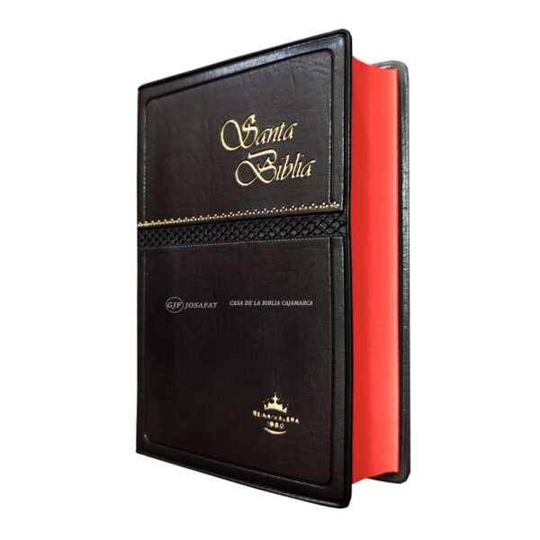 Biblia RVR1960 Compacta Tapa Vinil Negro