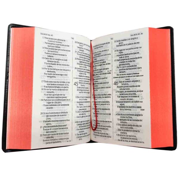 biblia-rvr022c-negro 3