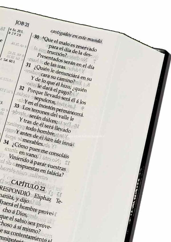 Biblia RVR1909 RV062LG Letra Grande Negro