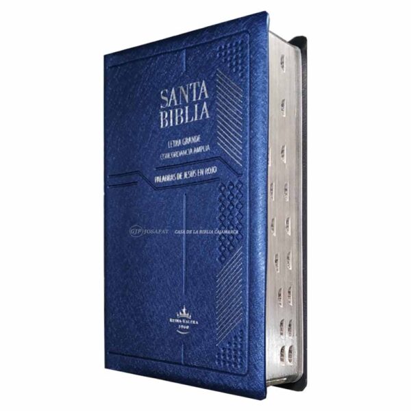 Biblia RVR1960 Letra Grande Vinil Concordancia amplia Azul