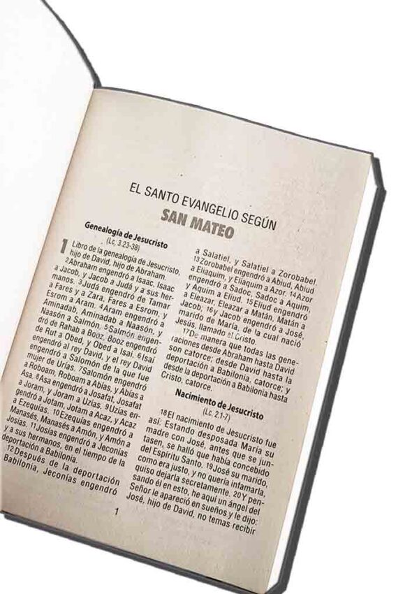 Nuevo Testamento RVR1960 con Salmos RVR230