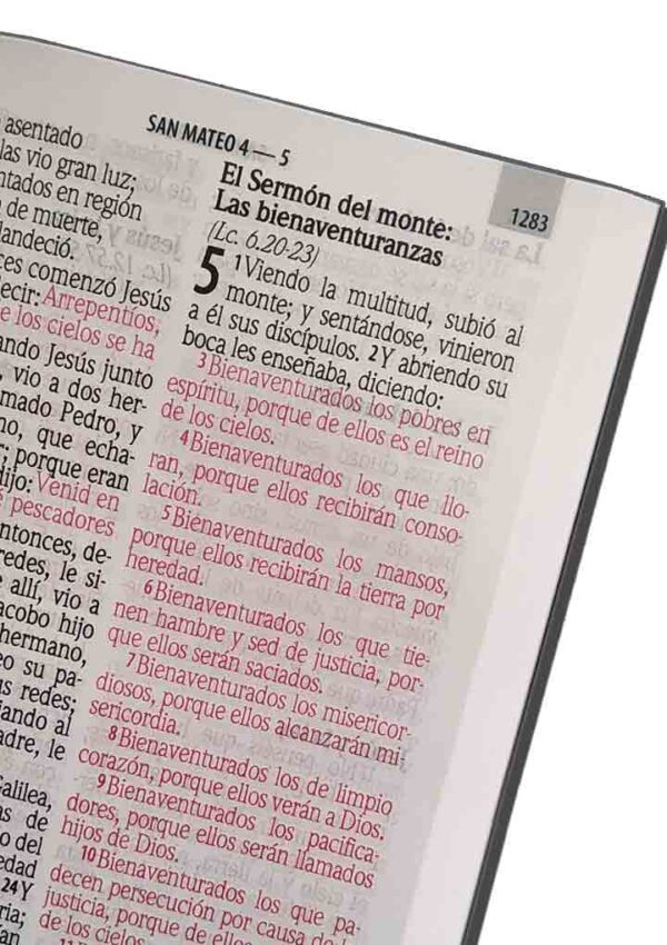 Biblia RVR1960 RVR060ELSGI PJR PER Letra Gigante Verde