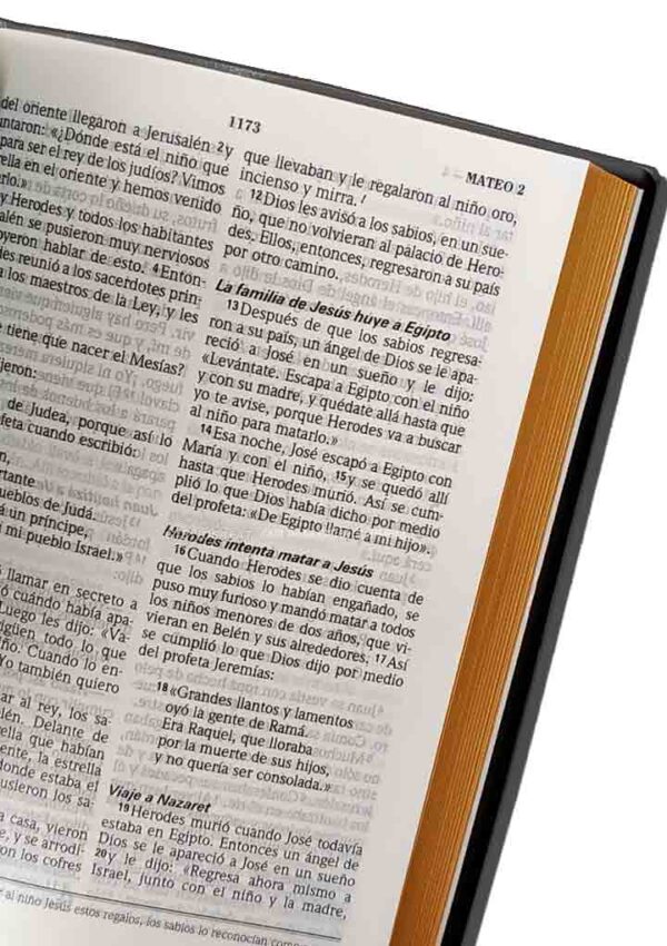 Biblia TLA042LG Vino