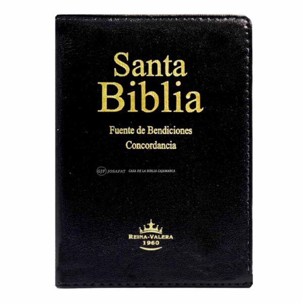 BIBLIA-RVR-046CLMFBSTI-N