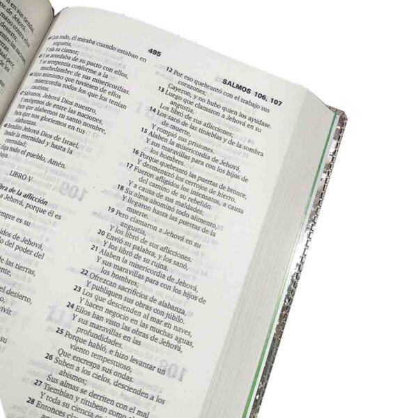 Biblia para Niños RVR040EMM Verde