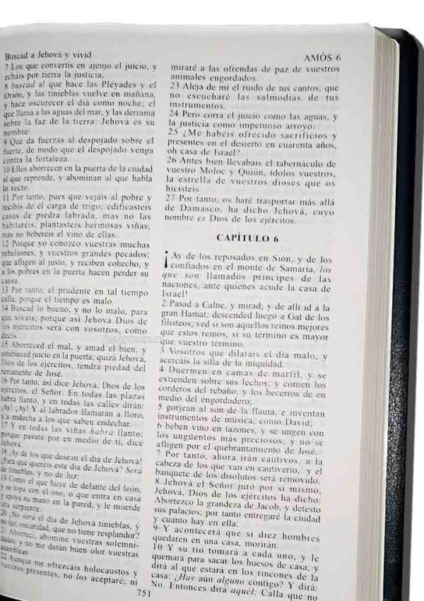 Biblia Reina Valera Gómez compacta Piel Cierre Negro