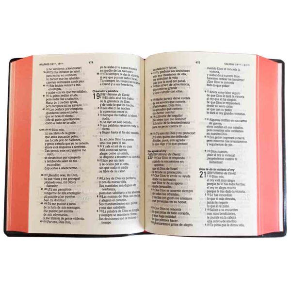 biblia-tla-042lg-negro 3