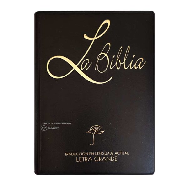 biblia-tla-042lg-negro