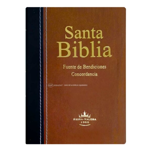 BIBLIA-RVR-046CLMFB-marron