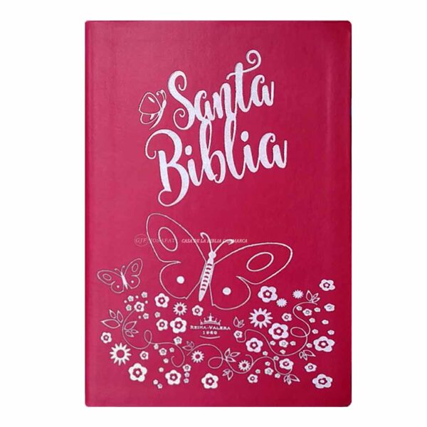 BIblia-rvr-66clg-prjti-fucsia