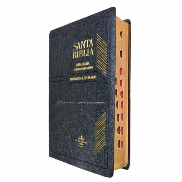 Biblia RVR1960 Letra Grande Vinil Concordancia Amplia Negro