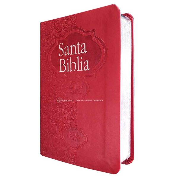 Biblia RVR1960 RVR046CLMFB Rojo