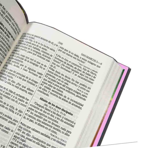 Biblia Amigos por Siempre RVR023 Ilust Rosa