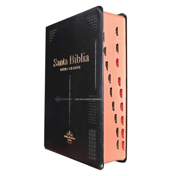 Biblia RVR1960 Letra Grande 11pts Vinil Indice Negro