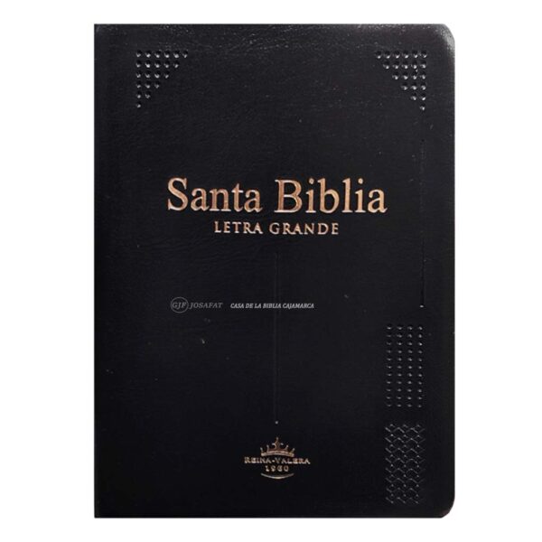 biblia-rvr042clsgi-pjrti