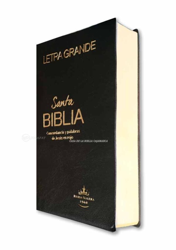 Biblia RVR1960 RVR062ECLG PJR PER Letra Grange Negro