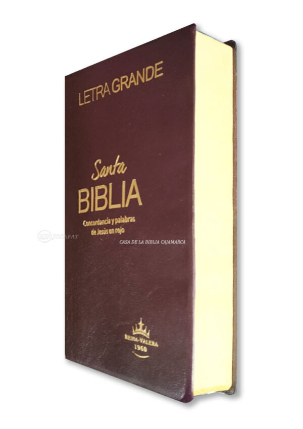 Biblia RVR1960 RVR062ECLG PJR PER Letra Grande Vino