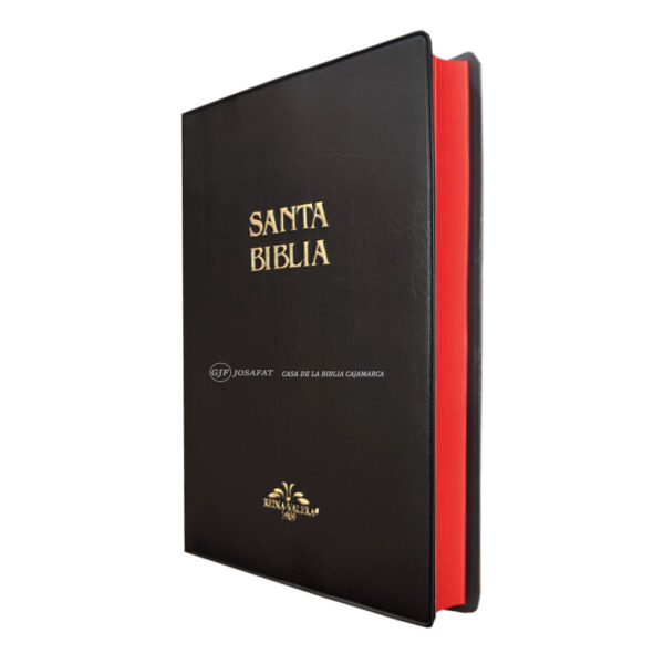 Biblia RVR1909 Personal Tapa Vinil Negro