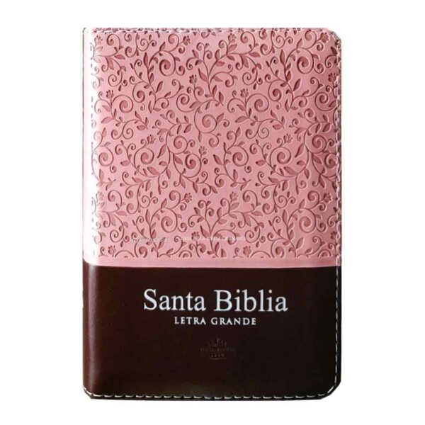 biblia-rvr026clsgipjrzti-rosa-marron