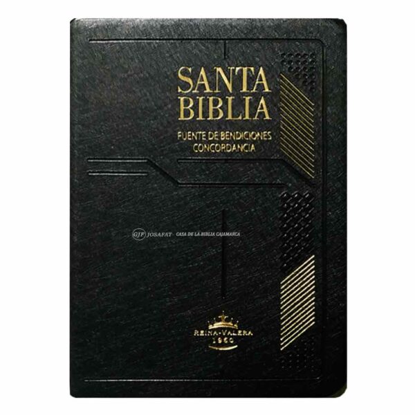 BIBLIA-RVR042CLMFBTI-negro
