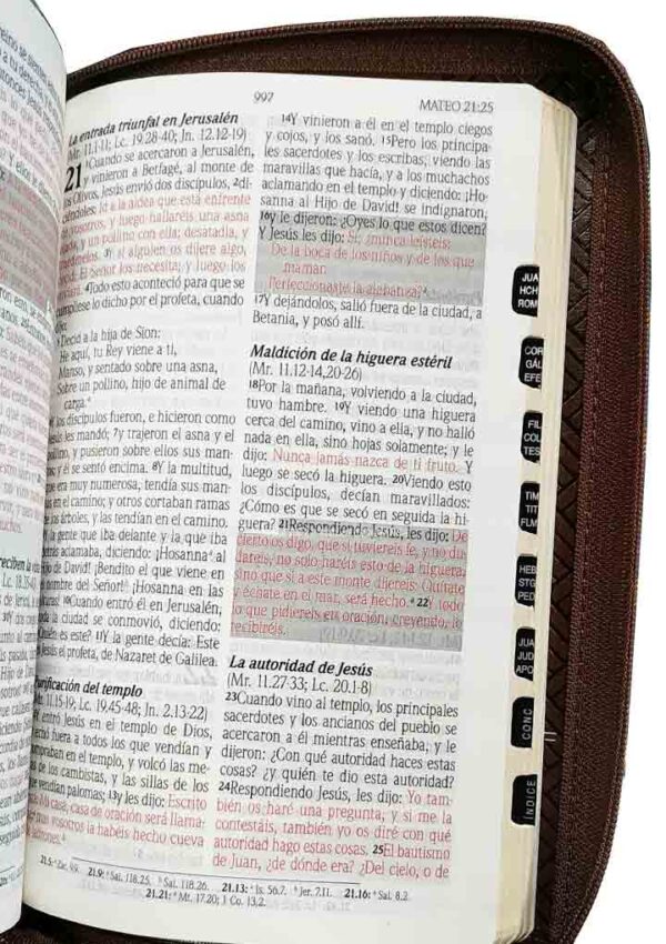 biblia-promesa-marron-cierre-lg-3