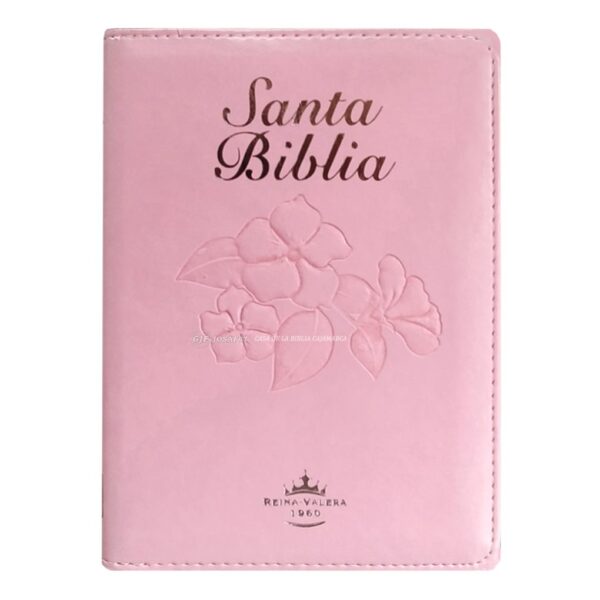 biblia-rvr0446clmfbzti-rosa