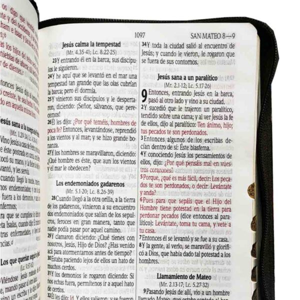 biblia-rvr066clg-pjrzti-cafe-leon