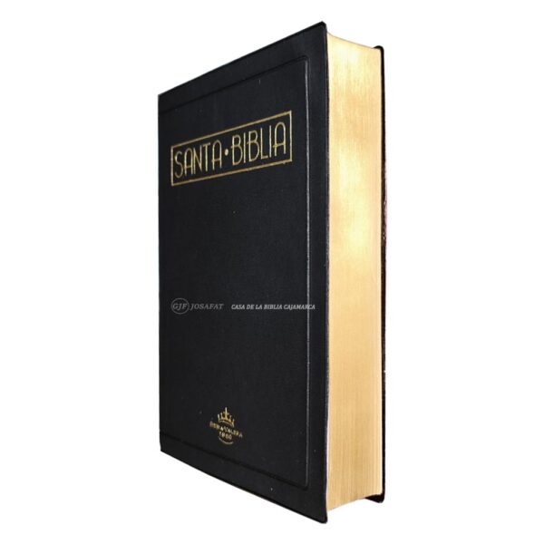 Biblia RVR 1960 Letra Grande Negro Tapa Vinil