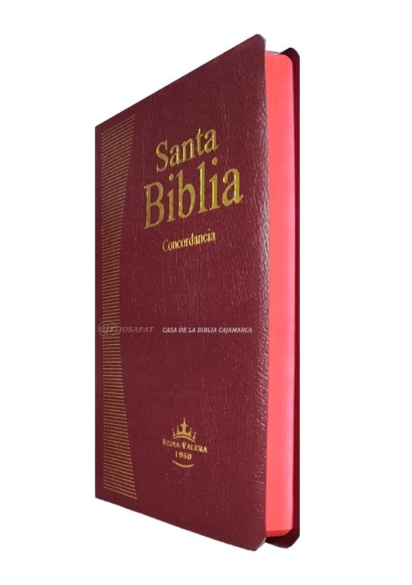Biblia RVR1960 Ultrafina Vino Covertex