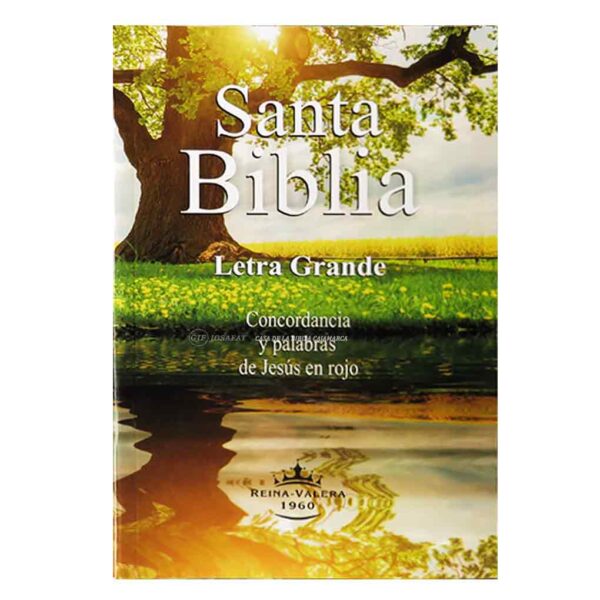 BIBLIA-RVR-60CLG letra grande