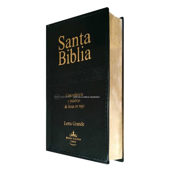 Biblia RVR1960 RVR062CLG PJR Filo Dorado Letra Grande Negro