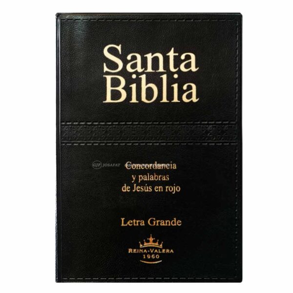 biblia-rvr062clg-pjr-fd