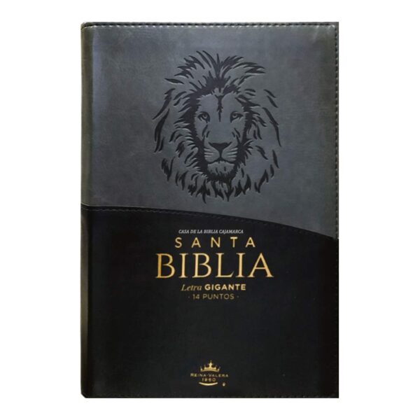 biblia-rvr068czti-lg-pjr-negro-gris