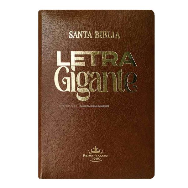 biblia-rvr065clgi-pjr-per-marron