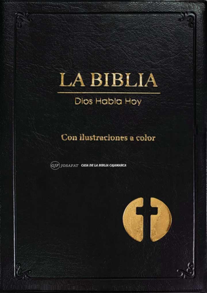 Biblia Dios Habla Hoy Tapa Vinil Ilustrada A Color (Con ...