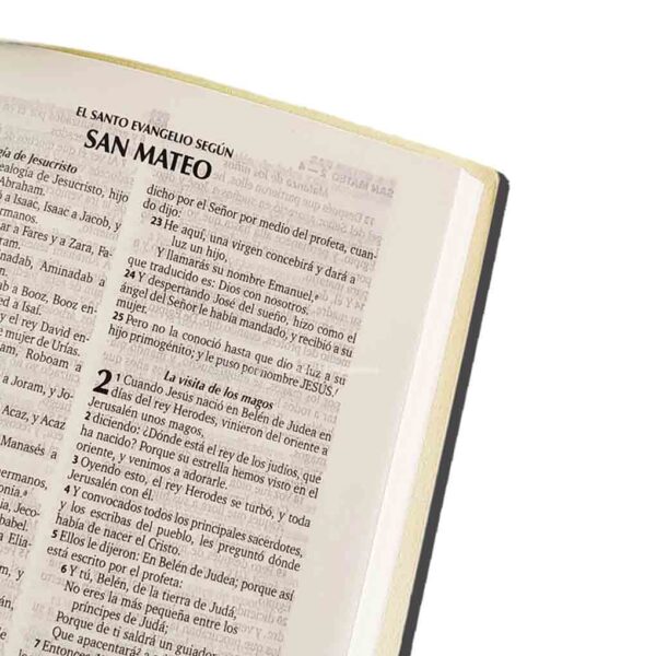 Biblia RVR1960 RVR042E PC Vino