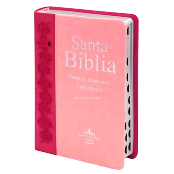 Biblia RVR1960 RVR046CLMFBTi Rosa/Fucsia