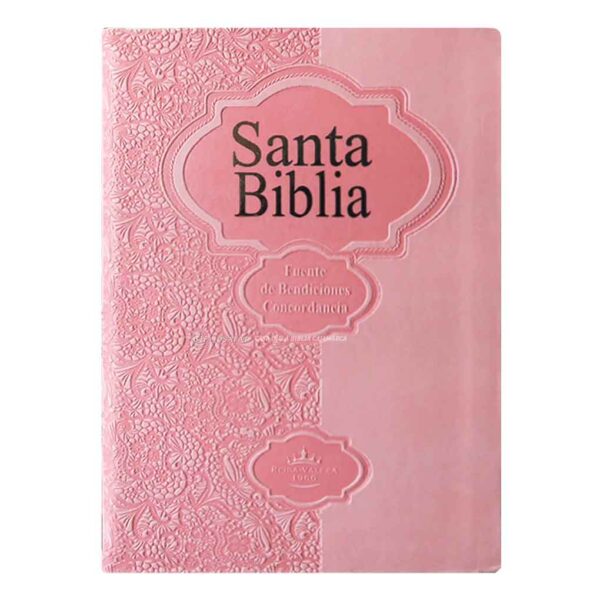 BIBLIA-RVR046CLMFB-ROSA