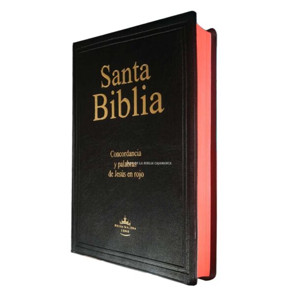 Biblia RVR1960 RVR082CLGi PJR Letra Gigante Negro