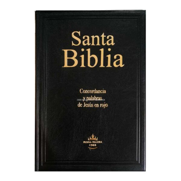 BIBLIA-rvr082clgi-negro-1020