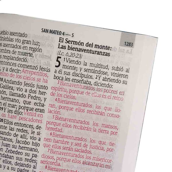 Biblia RVR1960 RVR060ELSGI PJR PER Letra Gigante Verde