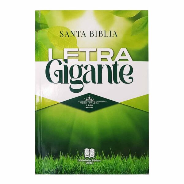 biblia-RVR060elsgipjr-per-verde