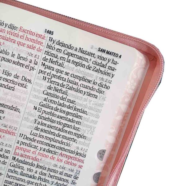 biblia-RVR066-CLSGIPJRTI-rosa-marron