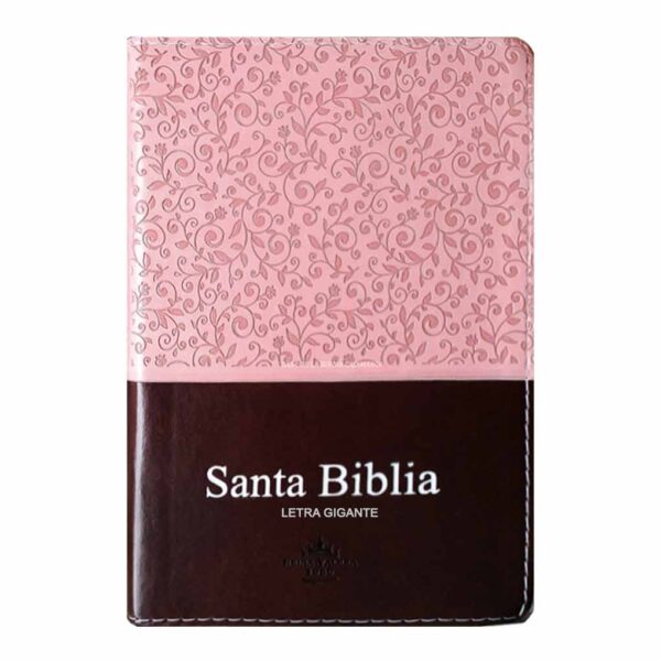 biblia-RVR066-CLSGIPJRTI-rosa-marron