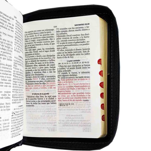 biblia-mundo-biblia-025czti-leon