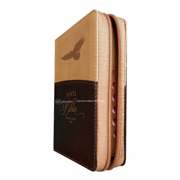 Biblia RVR1960 Compacta Cierre Indice Aguila Marrón