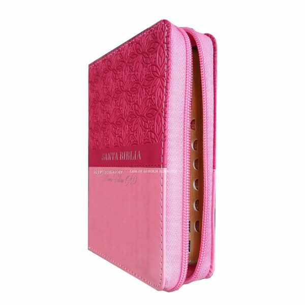 Biblia RVR1960 Compacta Cierre Indice Rosa